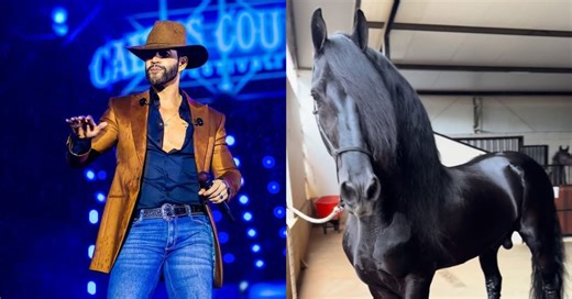 Gusttavo Lima exibe cavalo avaliado em até R$ 2,5 milhões