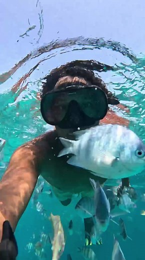 Unforgettable Snorkeling Experiences in Hurghada, Egypt