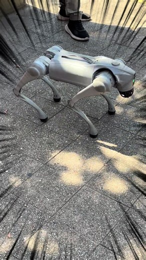 Del perro, pasamos al Therian Del Therian al CyberDog #dog #terminator #doggie #evolution #meme