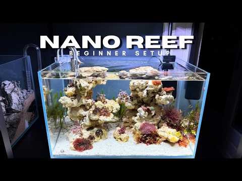 Building a Simple Beginner Nano Reef (Nano Reef 2.0)