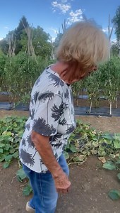 372K views · 10K reactions | Passeggiando nella meravigliosa Azienda Agricola Gregori di Roma nord 復塞勒𣏕諾凜讀 | NONNA MIMMA | Facebook