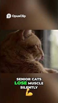 Unlock Your Cat's Health The Secret Protein Source. #cat #fyp #pets