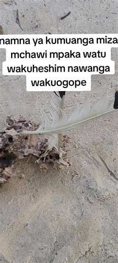 ibn Rabaha (@nusra_tv01)’s videos with original sound - ibn Rabaha