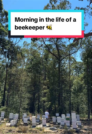 Experiencing Beekeeping at Humble Bee Australia