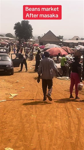 Discover the Best Beans Market After Masaka