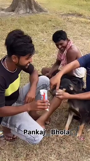 pankaj___bhola_ comedy on Instagram: "Pankaj bhola 😆😆"