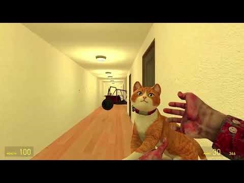 Ghost And Baldi Are Hunting Me In The Hotel Hallway 👻😱