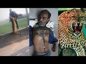 मेरे जीवन का सबसे डरावना दिन😱 Tiger Reserve Jungle Survival | India.s Amazon Jungle Safari Vlog