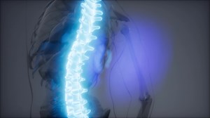 Backache in Back Bones