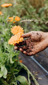 3K views · 13 comments | It might seem obvious  Because they’re...