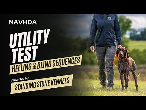 NAVHDA Utility Test - Heeling Phase & Blind Sequences