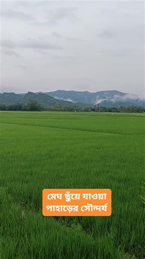 Md Mahmoud Hasan on Reels