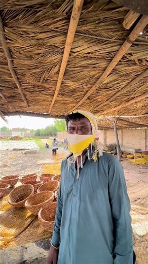 Date Palms Funny Sound🤣🤣 #datepalm #villagelife #funny #farming