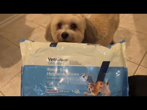 Vetnique Glandex Dog Wipes Review 🐾 Easy Clean Up for Pets Between Baths