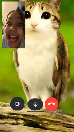 #funny why do you keep caling me im trying to play gamesssssssssssssssss