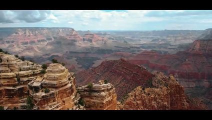 The pigeon people | movie | 2023 | official trailer