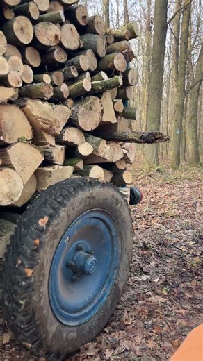 Loading Logs Into the Container 🚜🪵