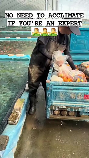 22K views · 134 reactions | Expert Mode On‼️ #fishhobby #fishhobbyist #goldfish #goldfishfarm | Fish Hobbyist | Facebook