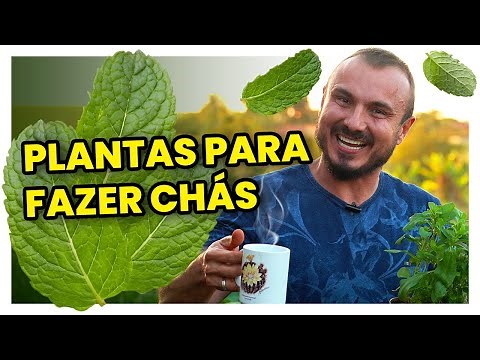 5 plantas para fazer chás naturais | Como cultivar e seus benefícios