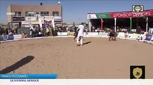 La lutte traditionnelle au Niger