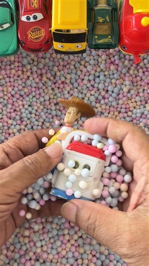 Exploring toys for Woody is focused on his equipmen#viral #trending #woody #focus #equipment