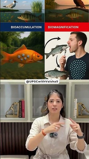 Bioaccumulation vs Biomagnification | UPSC Confusing Term | This or That #upsc #ias #ips #upscnotes