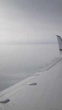 Hawker 800 Wing Oscillation - NSFW (language)