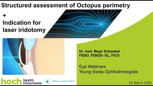 Structured assessment of Octopus perimetry and indication for laser iridotomy | Megir Schawkat