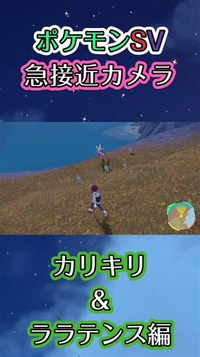 【ポケモンSV】カリキリたちとララテンスの様子を見るだけの動画 #ポケモン #ポケモンsv #カリキリ #ララテンス #shorts