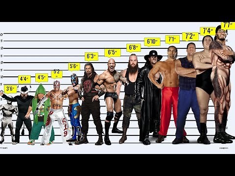 WWE WRESTLERS HEIGHT Comparison From SHORTEST to TALLEST