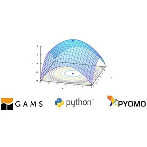 دانلود Udemy - Mathematical Optimization with GAMS and Pyomo (Python)