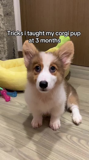 • O O N E E • on TikTok