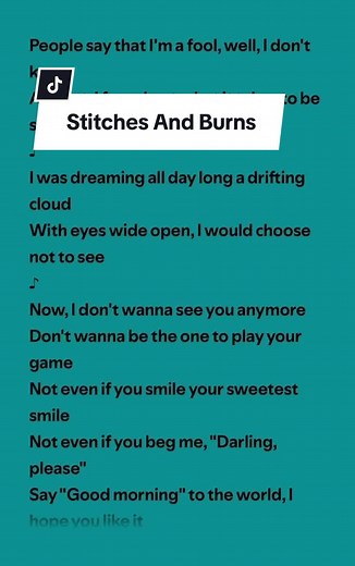 Stitches and Burns Lyrics and Karaoke Song