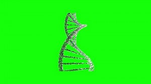 Animation Dna Icon Symbol Green Screen Stock Footage Video (100% Royalty-free) 3684170535 | Shutterstock