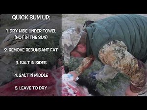 Salt preparation for muskox hide / muskox skin