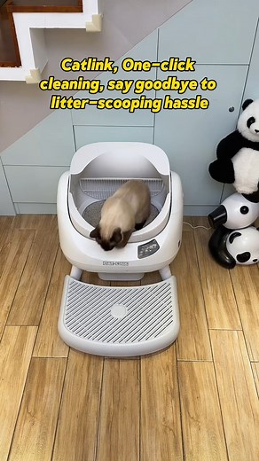 🔥 OPEN-X Early Bird is LIVE and the servers are melting! Big-cat parents are racing to: Pay 10 € today Grab 20 € off Secure the 189 € total Giant globe, unlimited-cat AI, 15-day hands-free—all locked before retail hits. Spots left: