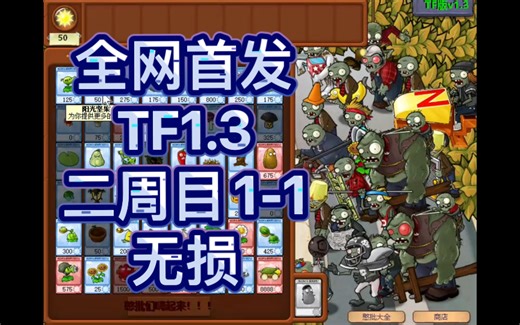 TF1.3二周目1-1无损