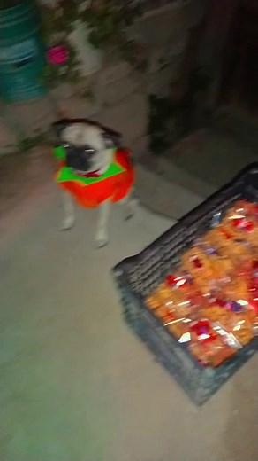 Liz Cortez200 on TikTok