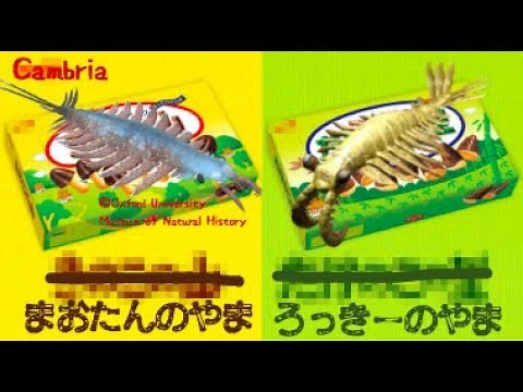 【カンブリア紀】バージェス派？澄江（チェンジャン）派？