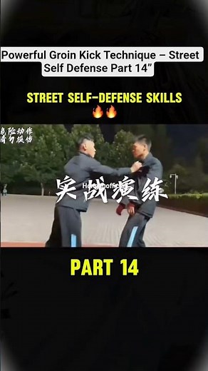 “Powerful Groin Kick Technique – Street Self Defense Part 14 #hongliu #viralvideo