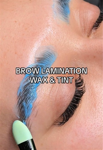 Stunning Brow Lamination, Wax & Tint Transformation