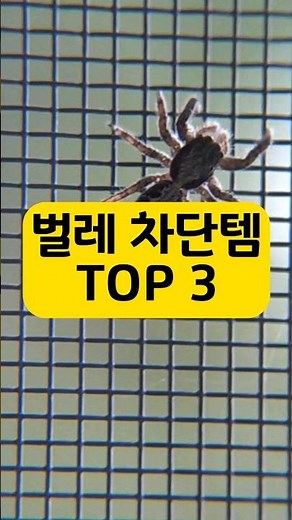 창문/창틀/방충망 벌레 차단 초간편 해결 꿀템 ! #초파리퇴치 #창문틈새 #벌레차단 #여름필수템 #shorts