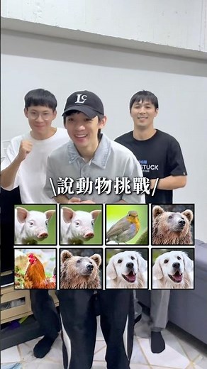 來挑戰💪🏻 #說動物挑戰