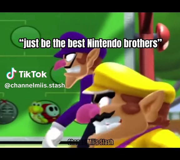 Mario and Luigi: The Brothers in Gaming History