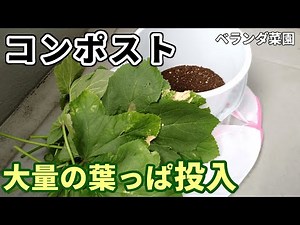 【ベランダ菜園】バケツコンポストを２つに増やしてオクラの葉を大量投入【コンポスト】