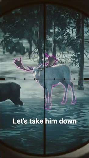 albino moose#cotw #moose #hunter #hunting