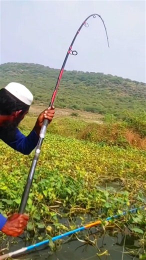 unique style big size fish catching fisherman #fishing #fish #indiafish #bigfish