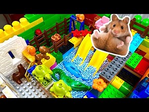 🐹 Hamster Maze in Lego Land Puzzle Challenge Obstacle Course for Hamster
