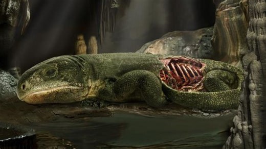 289-million-year-old mummy fossil presents earliest evidence of rib-based breathing