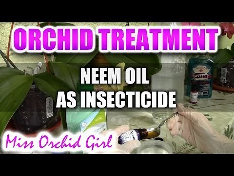 Using neem oil with Orchids - Recipe for a non toxic insecticide